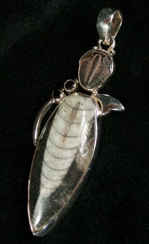 Fossil Orthoceras & Trilobite Pendant - Sterling Silver #5576